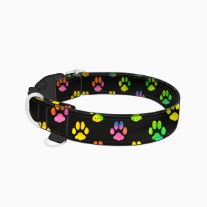Obroża na klamrę dla psa SPORT RAINBOW PAWS