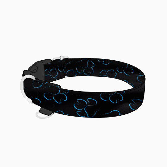 obroza-klamra-blue-neon.png