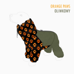 4796.png