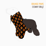 4799.png