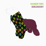 kombinezon-snood-rainbow-paws-burgundowy.png