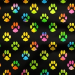 rainbow_paws_pattern.jpg