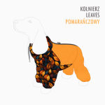 kombinezon-kolnierz-leaves-pomaranczowy.png