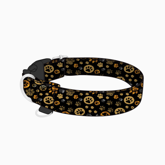 obroza-klamra-gold-paws.png