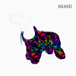 kombinezon-kolnierz-rainbow-smoke.png