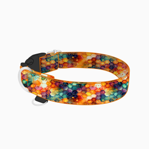 Obroża na klamrę dla psa SPORT RAINBOW HONEYCOMB