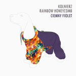 kombinezon-kolnierz-rainbow-honeycomb-ciemny-fiolet.png