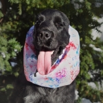 snood-zdjecie-peonies.jpg