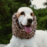 snood-zdjecie-brown-panther02.JPG