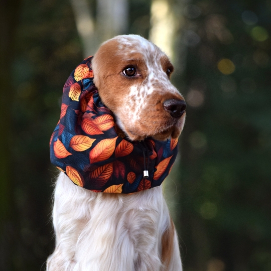 snood-zdjecie-leaves02.jpg