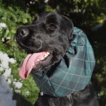 snood-zdjecie-green-plaid01.jpg
