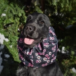 snood-zdjecie-pink-flowers01.jpg