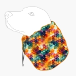snood-rainbow-honeycomb.png