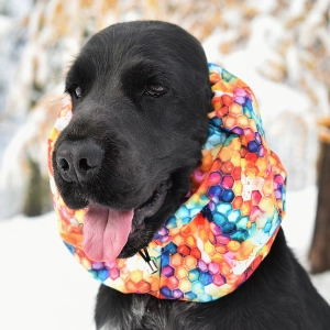 Snood hydrofobowy dla psa SPORT RAINBOW HONEYCOMB
