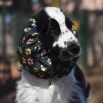 snood-zdjecie-rainbow-paws01.jpg