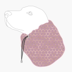 snood-pink-honeycomb.png