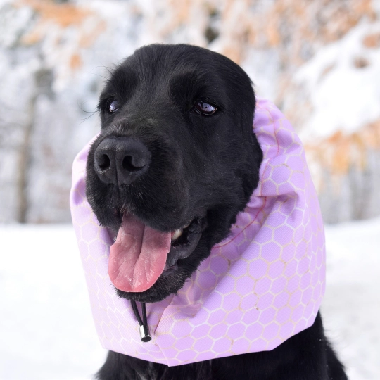 snood-zdjecie-pink-honeycomb01.jpg