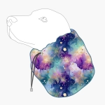 snood-galaxy.png