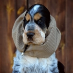 snood-zdjecie-ciemny-bez01.jpg
