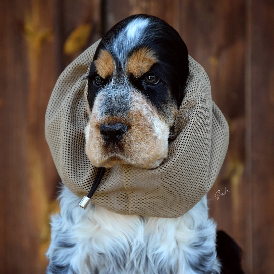 snood-zdjecie-ciemny-bez01.jpg