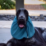 snood-zdjecie-turkus01.jpg