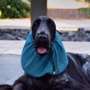 Snood siateczkowy dla psa CLASSIC TURKUS