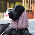 snood-zdjecie-brudny-roz01.jpg