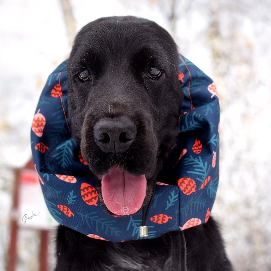 snood-zdjecie-cones01.jpg