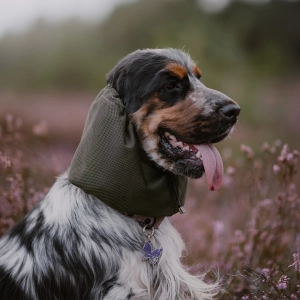 Snood siateczkowy dla psa CLASSIC OLIWKA
