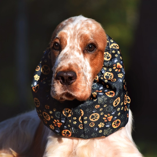 snood-zdjecie-gold-paws01.jpg